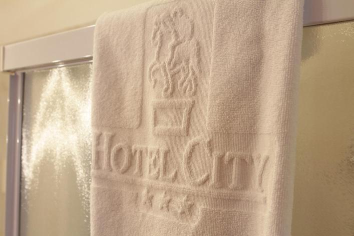 Hotel City Piacenza Room photo